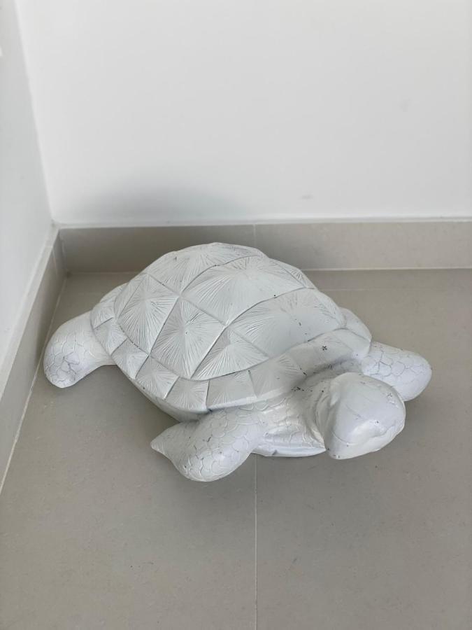 The Black Palm フィリップスブルフ エクステリア 写真